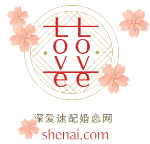 shenai.com